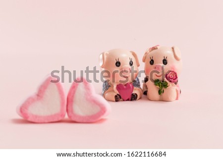 A pair of cute piggy dolls