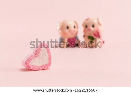 A pair of cute piggy dolls