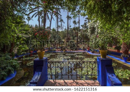 Majorelle Garden (Jardin Majorelle) famous tropical botanical garden in Marrakech, Morocco, Africa. Varieties of cactus plants and palms in the beautiful Orientalist garden -Yves Saint Laurent Museum. Royalty-Free Stock Photo #1622151316