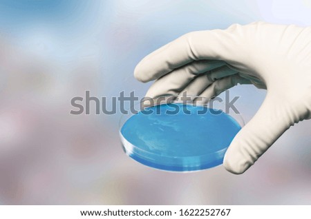 Laboratory glass Petri dish with chemical liquid