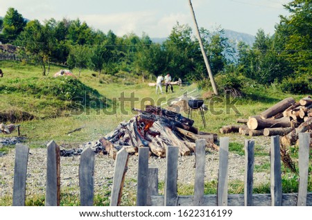 Fire in backyard and man out of focus preparing lamb meat for cooking on a spit. Selective focus