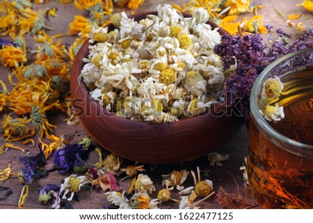 dried flowers of medicinal chamomile. camomile flowers in a wooden bowl. cup of fresh chamomile tea. medicinal herbs