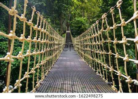 Bridge Rainforest Suspension bridge, Crossing the river, ferriage in the woods Royalty-Free Stock Photo #1622498275