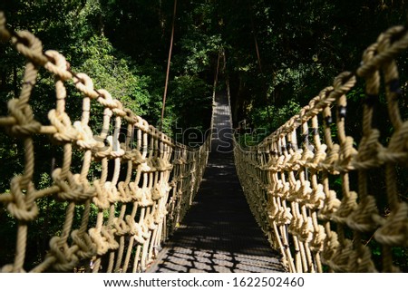 Bridge Rainforest Suspension bridge, Crossing the river, ferriage in the woods Royalty-Free Stock Photo #1622502460