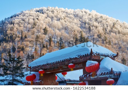 The beautiful snow scape in China snow town.