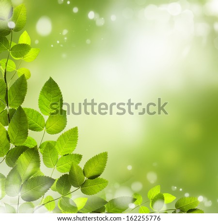 Spring or summer season abstract nature background with grass and blue sky in the back 