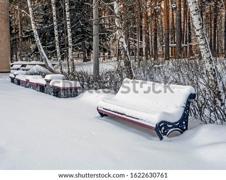 Park benches covered with snow