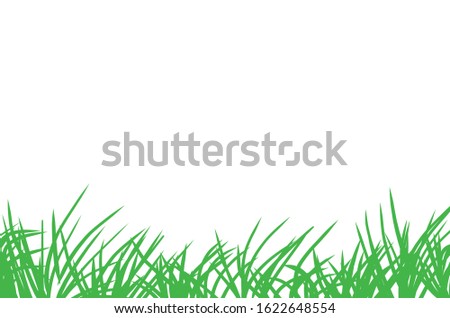 Vector green grass on white background.