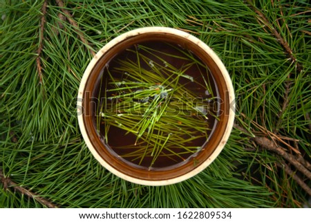 Cup of black tea with pine tree needles in it on green needles background top view. Healthy beverage tea in old cup. Royalty-Free Stock Photo #1622809534