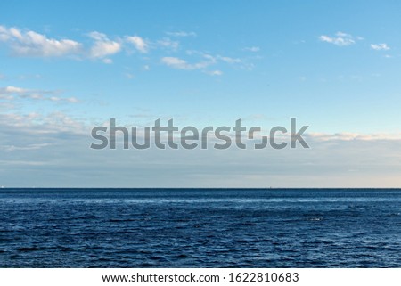 Winter sunny landscape of the Black Sea coast