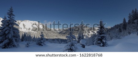 panoramaof the swiss mountains in Wallis