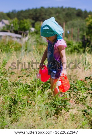 girl 4 years old, dressed in denim overalls, rubber boots and a bandana on his head watered strawberries from watering cans in the garden. Gardening. Spring, the beginning of summer.