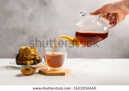 A female hand pours tea from glass teapot from birch chaga mushrooms. Organic drink antioxidant gray natural background.