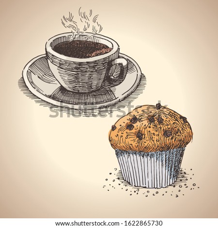 Coffee and muffin for breakfast, color free hand drawing, sketch style