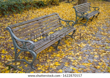 Bench in autumn park,autumn background,picture vintage tone.