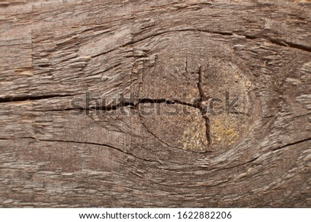 Brown wood texture background coming from natural tree. Abstract wooden panel with beautiful patterns.Background for interior design.