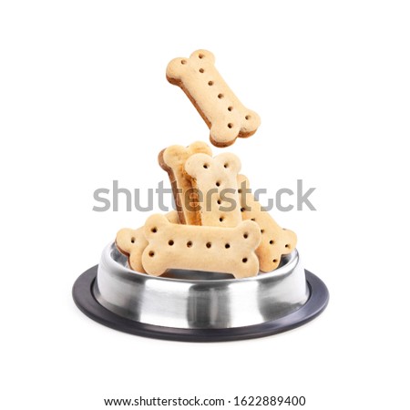 Treats for dogs. Dog food. Cookies for dogs. Food in a plate for dogs