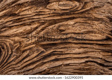 Brown wooden piece of wood texture background top view