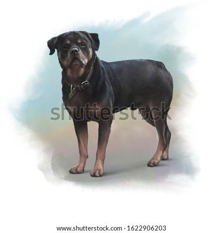 The Rottweiler dog on watercolor background, medium and large breed. Animal art collection: Dogs. Hand Painted Illustration of Pets. Good for banner, T-shirt, pillow, card. Art background for pet shop