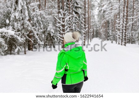 hiking snow, winter photo, path snow forest, woman, man in winter