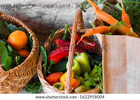 Fresh vegetables in pannier on wood table, Homemade. Organic food. Village food. 