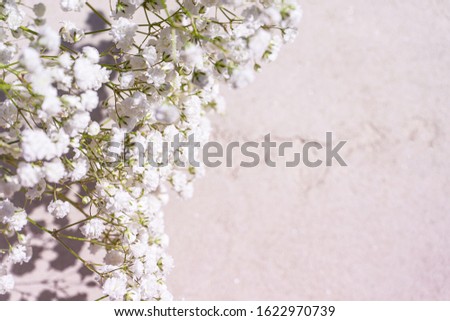 Beautiful bouquet of white flowers with shadows on light gray concrete background. Concept for wedding party, birthday holiday greeting card. Close up, top view, flat lay, copy space. Soft focus.