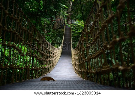 Bridge Rainforest Suspension bridge, Crossing the river, ferriage in the woods Royalty-Free Stock Photo #1623005014