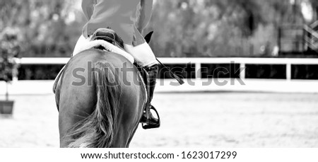 Sorrel dressage horse and rider in red uniform performing jump at show jumping competition, black and white. Equestrian sport background. Chesnut horse portrait during dressage competition.