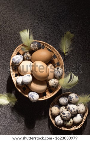 Easter eggs in basket with feather and tulips. On concrete gray background. Morning light. Copy space. Rustic style. Top view.