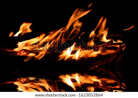 Beautiful bright flame from a fire on a black background with reflection in the water