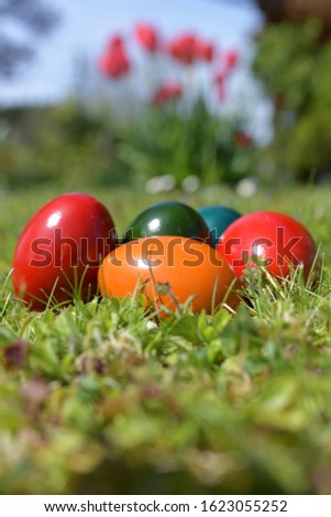 Easter eggs in a meadow. - Giving away Easter eggs is a common practice. The tradition of egg coloring goes back to the Middle Ages.