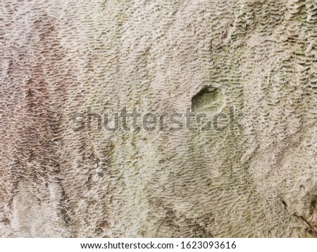 textured nature rock and water abstract. abstract tourist photo. russia nature abstract photo. natural abstract wallpaper rock and water. natural texture macro photo. natural texture macro photo white