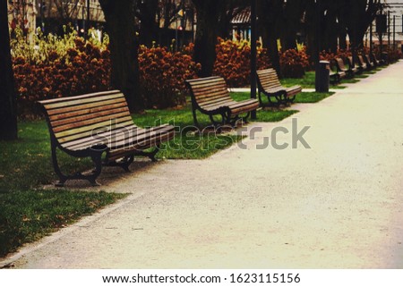 Diagonal row of park benches standing along a park road