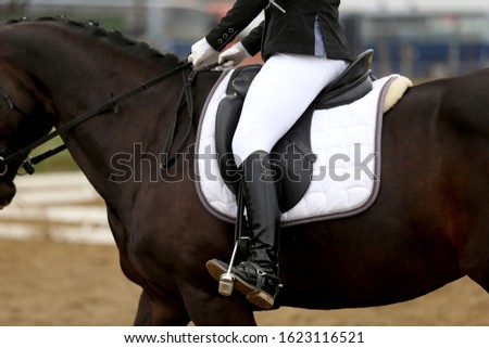 Closeup of a horseback under old leather jumper saddle on competition. Equestrian sport background

