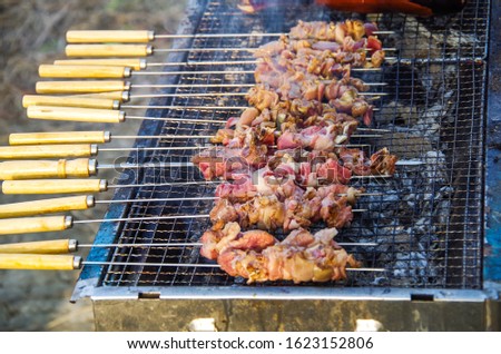 Outdoor roast fresh delicious mutton kebabs Royalty-Free Stock Photo #1623152806