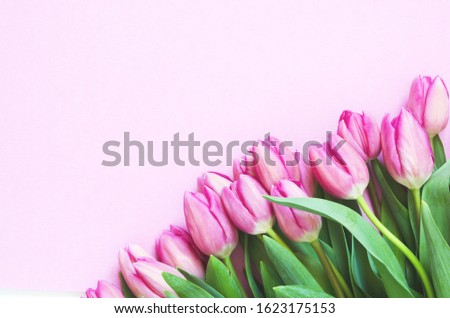 Tulips flowers on pink background. Flat lay, top view. Lovely greeting card with tulips for Mother's day, wedding or happy event - Image.