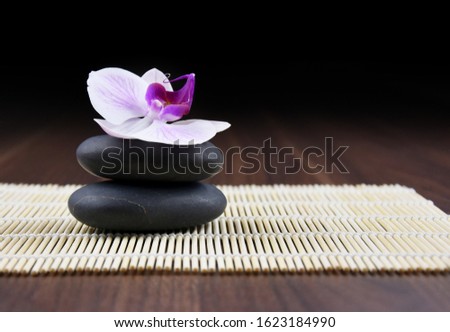 Massage stones with orchid stock images. Spa and wellness setting stock images. Pile of black stones. Black stones on a wooden background. 