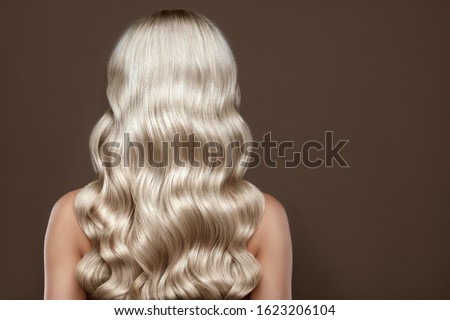  Healthy Long blonde Shiny Wavy hair back view. Volume shampoo. Blond Curly permed Hair.  Beauty salon and hair care concept.