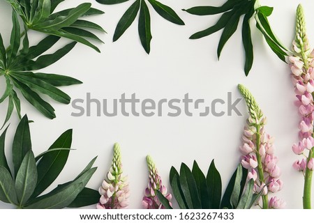 Floristics horizontal banner with blank space. Pink Delphinium and tropical leaves border. Exotic plant and larkspur flower on white background. Florist store. Greeting card idea. Flower arrangement
