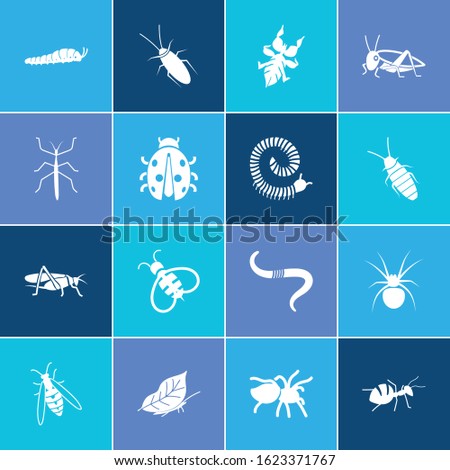 Bug icon set and swallow tail caterpillar with spider, tarantula and leaf butterfly. Locust related bug icon vector for web UI logo design.