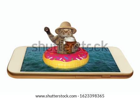 The beige cat on an inflatable circle is drinking beer in the phone. White background. Isolated.