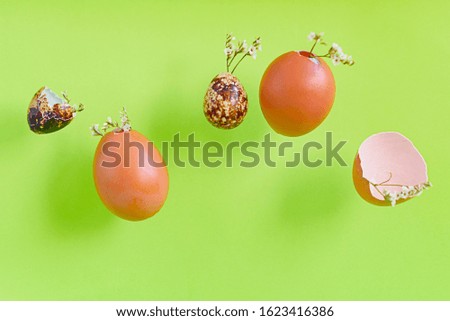 Happy Easter green background flying chicken and quail eggs