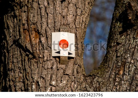 Hiking sign at a tree's fork