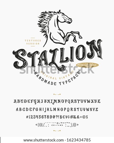 Font Stallion. Craft retro vintage typeface design. Graphic display alphabet. Uppercase and lowercase letters. Latin characters and numbers. Vector illustration. Old badge, label, logo template.