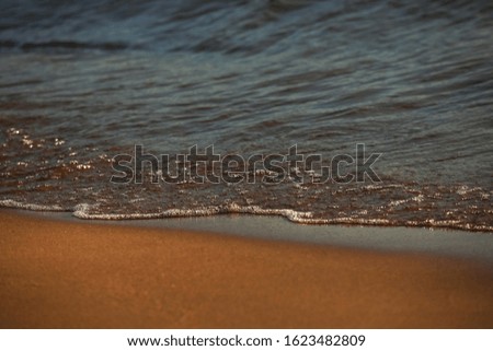 Soft beautiful ocean wave on a sandy beach. Background, summer sand beach background.