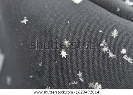 Snowflakes in the Upper Peninsula of Michigan