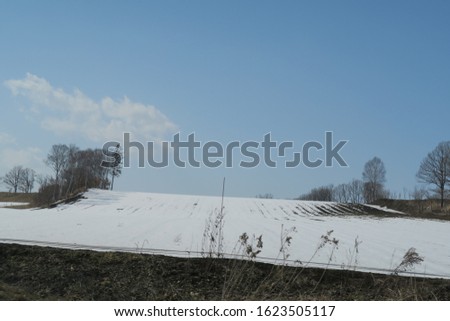 Snow capped fields in Hokkaido, Japan