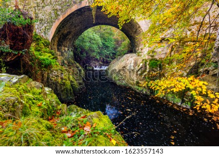 Cascade under bridge on mountain stream or creek, between mossy rocks in Tollymore Forest Park in autumn, Newcastle, County Down, Northern Ireland