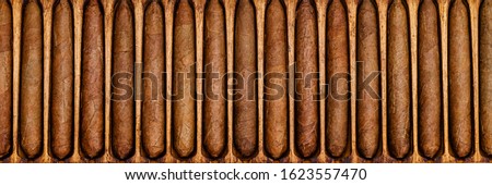 Cigars in wooden box. Cigar manufacturing in vintage traditional scale tools, top view. Old box with handmade cigars in wooden humidor. Collection hand rolled cigar pre labellin, banner Royalty-Free Stock Photo #1623557470