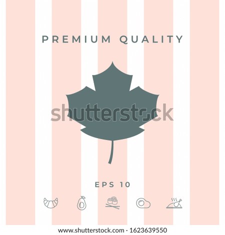 Maple leaf icon. Graphic elements for your design